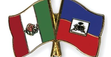 The Mexican Government is preparing a Decree to massively regularize Haitians